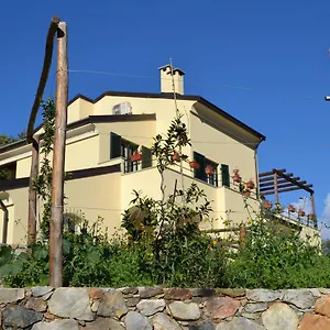 Oda ve Kahvaltı Joie De Vivre